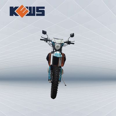 Wassergekühlter OEM Vergaser Zwei Storke Motorräder Motor EC 300 mit starker Leistung