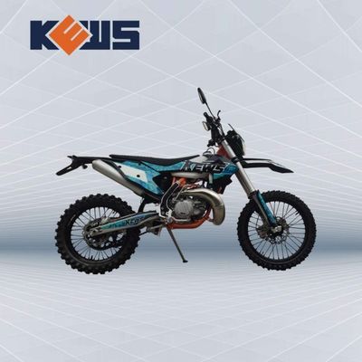 Wassergekühlter OEM Vergaser Zwei Storke Motorräder Motor EC 300 mit starker Leistung